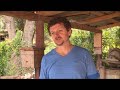 how to harvest propolis from wild stingless bee