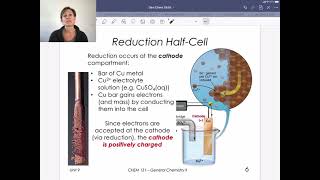 Skill 9.2 – Diagramming Voltaic Cells