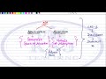 cas 03 cost accounting standards cost u0026 management accounting cma intermediate