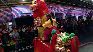 108永和店仔街福德宮恭祝福德正神聖誕遶境【王功龍獅團-北京獅】