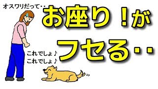 【犬 お座り】オスワリと言っているのにフセてしまう！【犬のしつけ＠横浜】byドッグトレーナーエマ