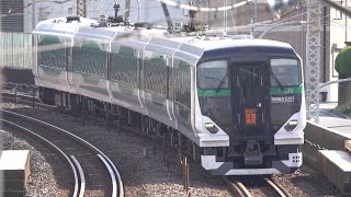 E257系5500番台　ホリデー快速『鎌倉』武蔵野線　/　E257-5500 Series  Holiday Rapid \