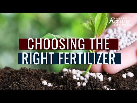 What is the best fertilizer ratio for vegetables?