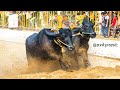 Venur Moodukodi Kaati 🔥 |  Venur Moodukodi G N P | Iruvail Panila| Puttur kambala|