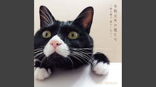 黒ネコのタンゴ