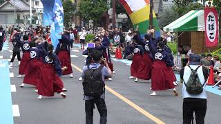 「桜華」 第16回 浦和よさこい IN 南浦和 東口B会場 4Kズーム