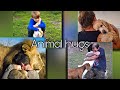 Everybody needs a hug | Animals hugging people part 2