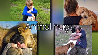 Everybody needs a hug | Animals hugging people part 2
