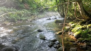 初秋の源流を最上流まで登り詰める【北海道 渓流ルアー Hokkaido trout fishing】