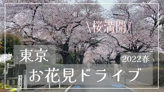 【Vlog】 東京 お花見ドライブ｜2022春｜八重洲・青山霊園・用賀・かむろ坂