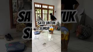 Gas gak pake lama😊 |Rumah bersih tuntas dan nyaman dipake #rumah #family #adayinmylife #viralvideo