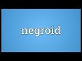 Negroid Meaning