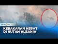 Upaya Pemadaman Kebakaran Hutan di Albania