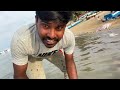 திருக்கை வேட்டை fishingvideo fishing traditional valvaisulax shorts jaffna