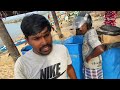 திருக்கை வேட்டை fishingvideo fishing traditional valvaisulax shorts jaffna