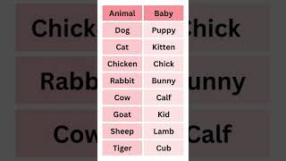 Animal and their baby names in ENGLISH