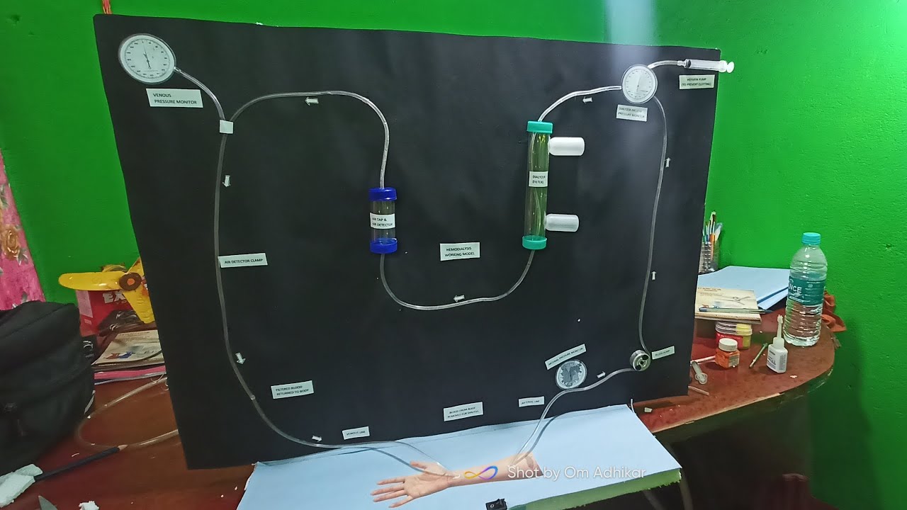 How To Make Hemodialysis Working Model Science Project 2023-2024 # ...