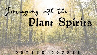 Journeying with the Plant Spirits | Lesson 1