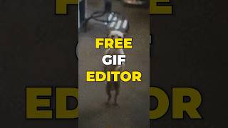 Easy to use GIF editor | Flixier