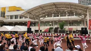 にいがた総踊り 2019 3日目 「えみだま」にいがた総踊り親子教室