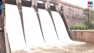 പാലക്കാട് ജില്ലയിൽ ജാഗ്രതാ നിർദ്ദേശം, മുൻകരുതൽ നടപടികൾ തുടങ്ങി  |Palakkad - rain