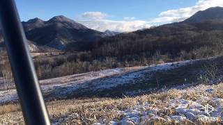 風雪後の忍び猟