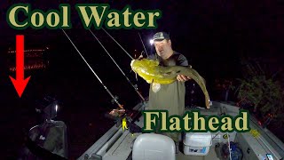 Cool Water Flathead Fishing | Live and cut bait #fail