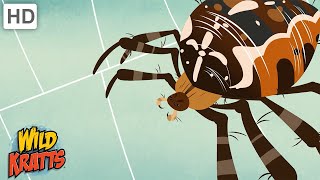 Wild Kratts | Bugs Part 1 | Insects, Arachnids, Worms and other Creepy Crawlies