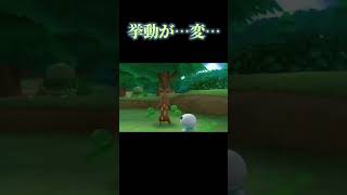 ウソッキー  #shorts #pokemon #pokémon #ポケモン #ポケパーク2 #wii