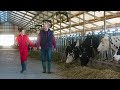 Nedap CowControl - User-friendly