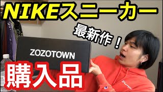 【購入品】イケてるNIKEのスニーカー！