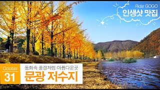 Beautiful autumn in korea / 동화속 한장면처럼 노란 단풍이 아름다운그곳... 바람불면 하늘에서 노란단풍잎 비가 쏟아집니다. 충북괴산 문광저수지 단풍나무길...