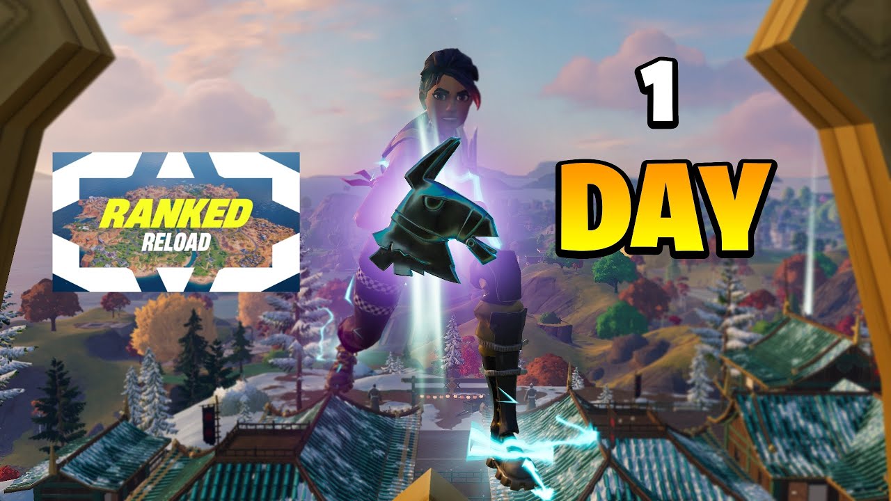 I Went Pro In 1 Day Youtube