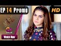 Pakistani Drama|Kyunke Ishq Baraye Farokht Nahi -  EP 14 Promo|Aplus Drama|Junaid, Moomal|C3N1