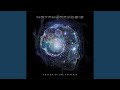 Spinning the Consciousness