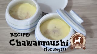 FEEDMYPAWS - Recipe: CHAWANMUSHI for DOGS