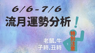 【好運愛上你】2022-6/6~7/6流月運勢｜壬寅年丙午月流月運勢｜運勢｜十天干｜