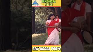 Senthoora Poove Movie Songs | Senthoora Poove Video Song | Ramki | Nirosha | Vijayakanth | #ytshorts