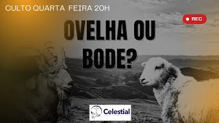 Live Culto | Quarta-Feira 20h | Com quem você se identifica Ovelha ou o bode ??| 29/01/2025