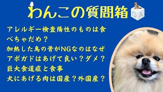 わんこの質問箱ライブ1009   アレルギー検査陽性のものは食べちゃダメ？犬に加熱した鳥の骨がNGなのはなぜ　犬にアボガドは？　巨大食道症と食事　犬にあげる肉は国産がよい？外国産は？