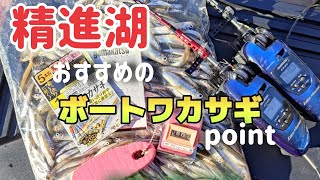 【ワカサギ釣り】魚影MAXのワカサギ釣り場【精進湖】