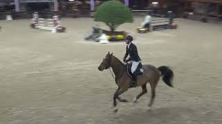 Kalou du Bourbecq @ 1.30m final 6yo horses CSI Lier nov. 2022