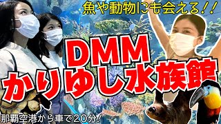 那覇空港から20分！とにかくすごい！『DMMかりゆし水族館』の魅力をお届けします♪