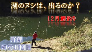 湖のヌシを求めて鯉釣り　【釣行46回目】