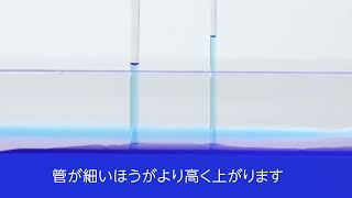 かくがスキ「毛細管現象」