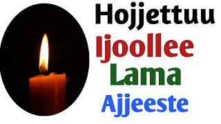 Oduu Gadda Hojjettuu Ijoollee Lama Ajjeeste