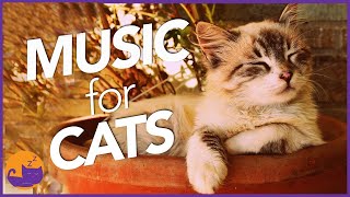 Magic Music For Cats - Unbelievable Results Tested 2022