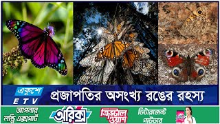 প্রজাপতির সৌন্দর্যের আড়ালে যেসব রহস্য লুকিয়ে আছে || ETV Lifestyle