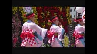 上町よさこい鳴子連　2011年イベントでの踊り⑫　こうち春花まつり♪