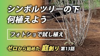 アオダモの下の植栽計画【フォトショでシミュレーション】